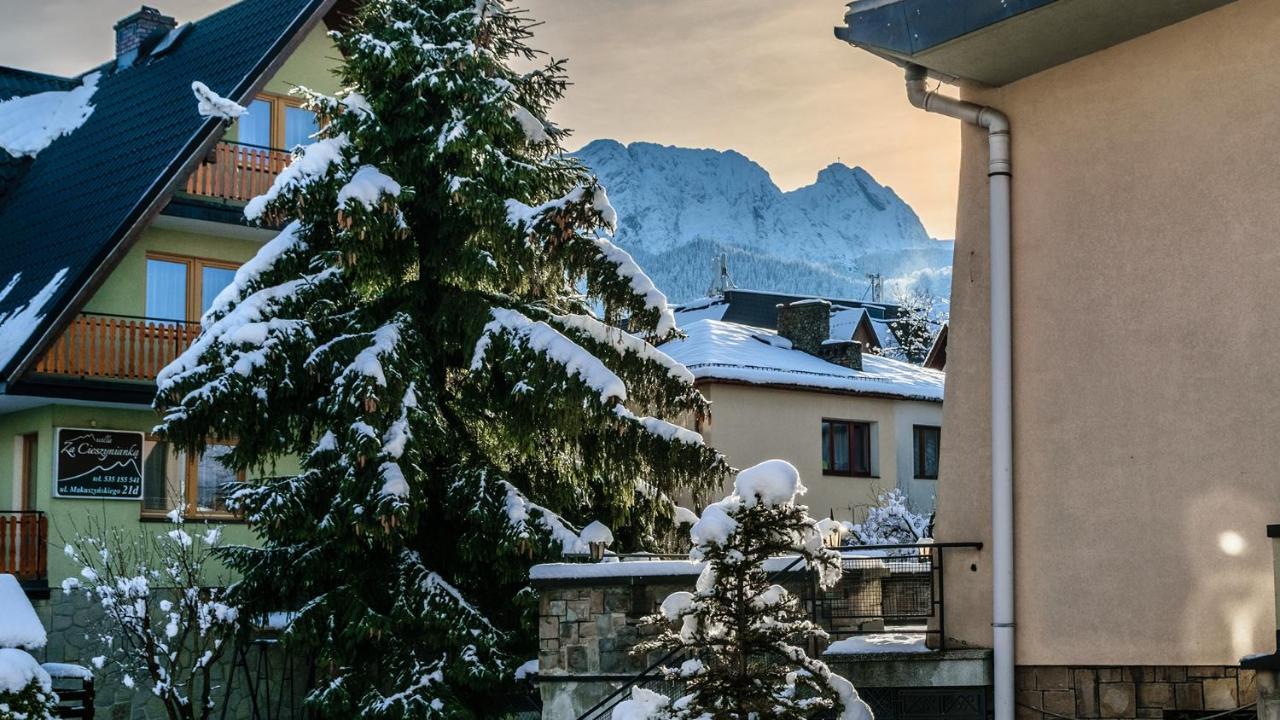 Ami Zakopane Bed & Breakfast エクステリア 写真
